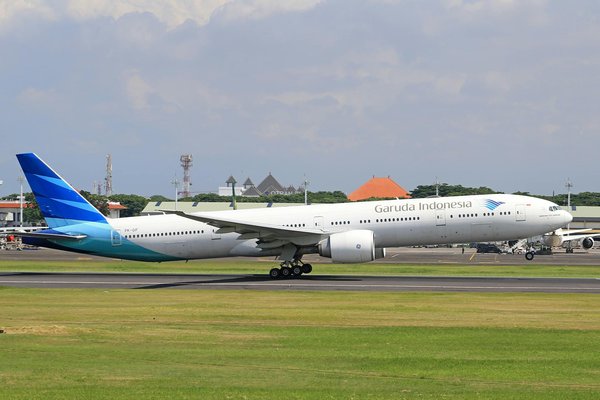 Which Scottish islands are best for a wildlife safari?